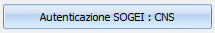 6. Autenticazione CNS